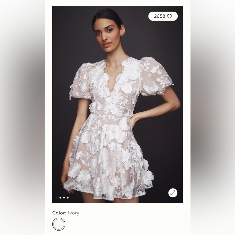 Anthropologie Ivory Floral Mini Dress